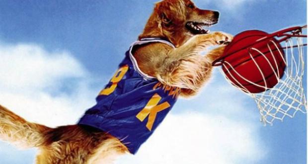Pires films sur le basket