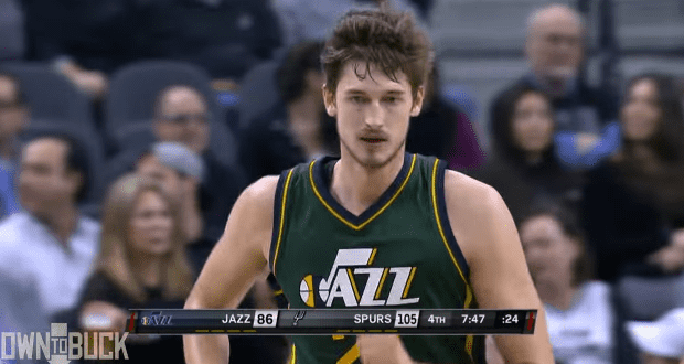 Tibor Pleiss