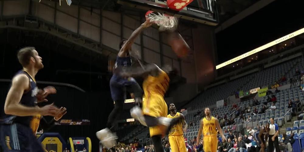 wayne selden