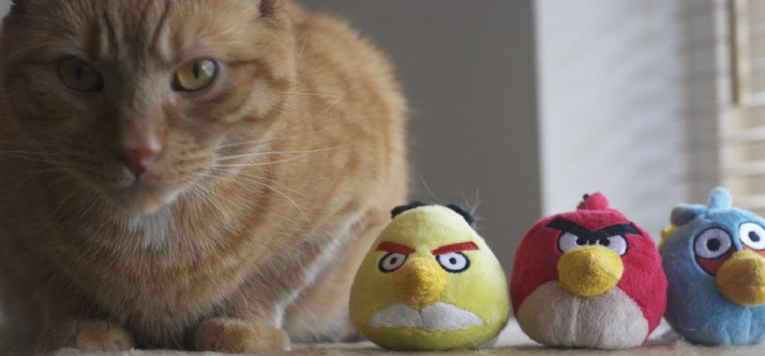 TrashTalk Fantasy League