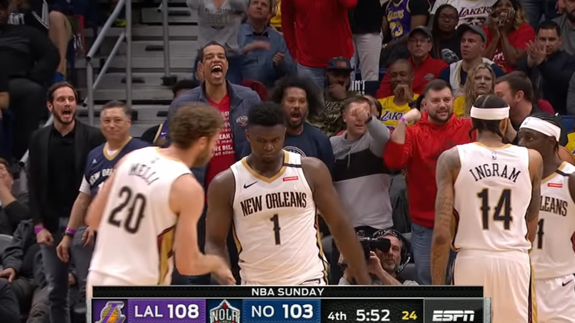 Pelicans Zion