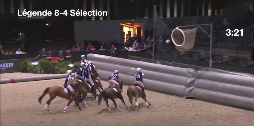 horse ball