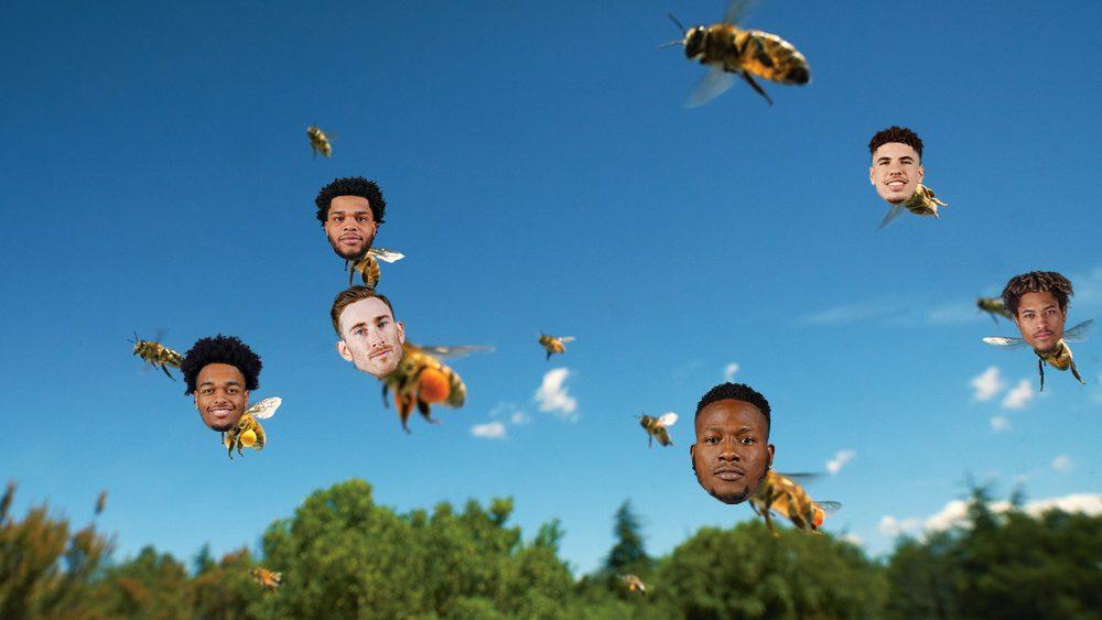 Hornets