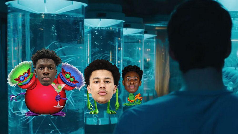 Prospects