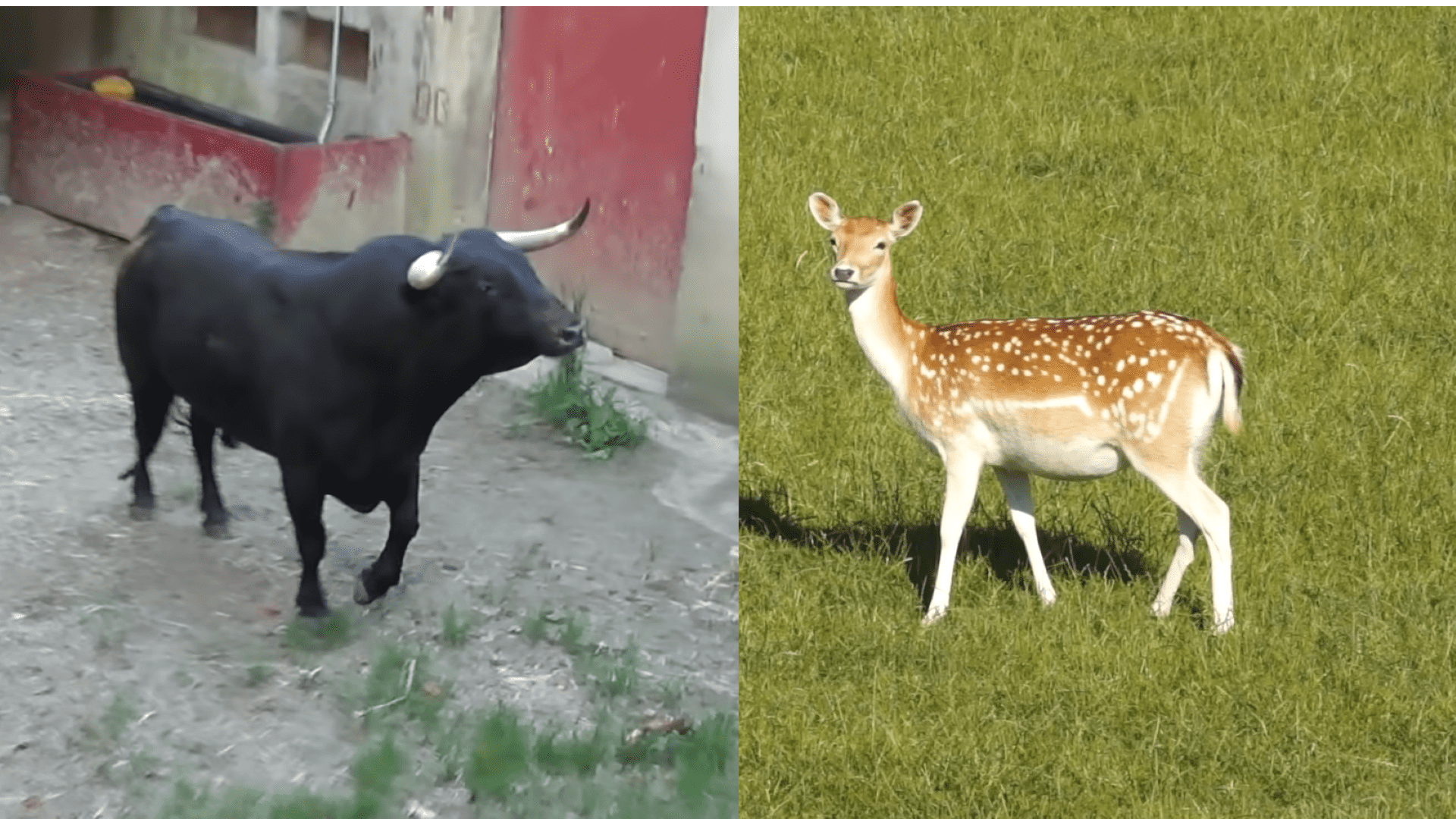 Programme NBA 21 janvier 2022