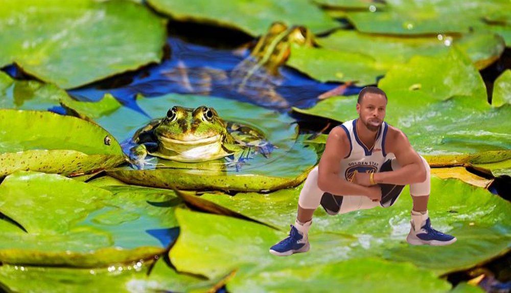 Stephen Curry