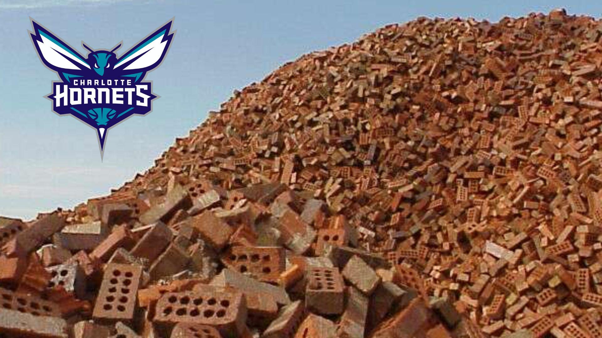 Hornets briques