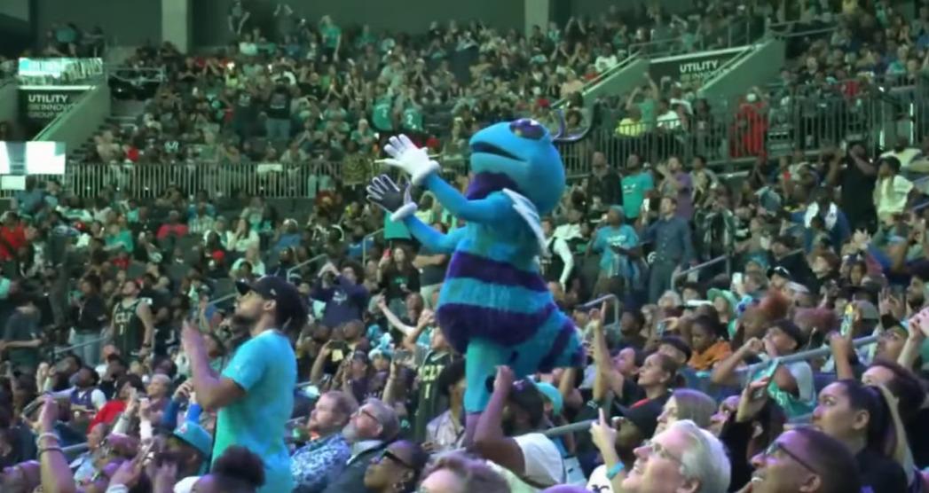 Hornets mascotte 8 septembre 2023